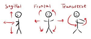 Planes of Movement. Transverse. Coronal. Sagittal. Full body Optimisation