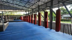 Muay Thai. Kickboxing. Martial Arts Training. Conditioning. Fight Club. Super Soldier Project.