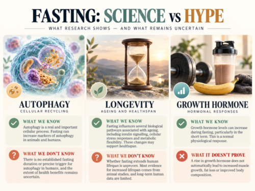 Three-panel infographic comparing scientific evidence and uncertainties surrounding fasting-related autophagy, longevity and growth hormone responses.