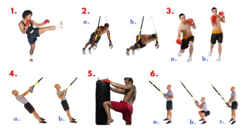 TRX. Boxing. Workout
