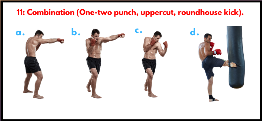 TRX/Martial Arts Functional Workout
