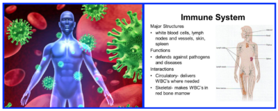 theicemancometh-thebenefitsoficecoldwaterimmersion/supersoldierproject