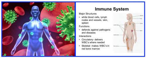 theicemancometh-thebenefitsoficecoldwaterimmersion/supersoldierproject