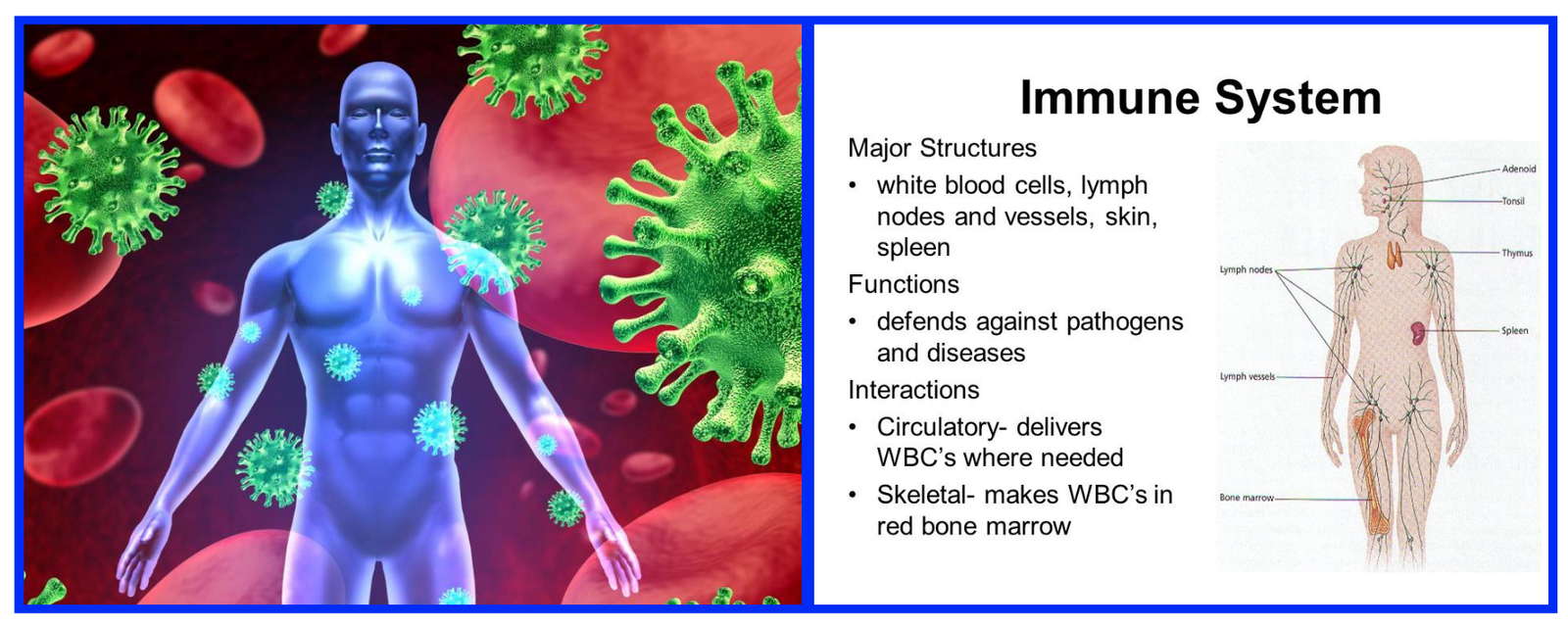 Theicemancometh-thebenefitsoficecoldwaterimmersion Supersoldierproject