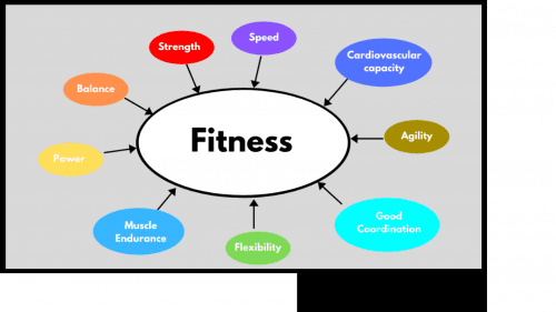 Components of fitness. Functional Fitness. Whole Body workouts. Super Soldier Project.