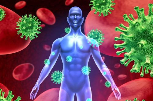 Bulletproofing Immune System. Immune system facts.