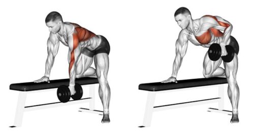 Dumbbell back rows. Pull Up progression. Upper body exercises. Back exercises. Lat workouts. Shoulder exercises. Arm exercises.