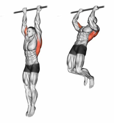 Chin ups. Pull Up progression. Upper body exercises. Back exercises. Lat workouts. Shoulder exercises. Arm exercises.