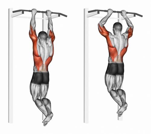 Chin ups. Pull Up progression. Upper body exercises. Back exercises. Lat workouts. Shoulder exercises. Arm exercises.