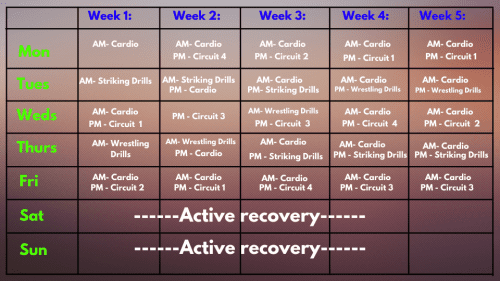 Khabib Nurmagomedov. UFC. MMA. Combat Sambo. Pankration. Dagestan. MMA Workout. Strength and conditioning. Bodyweight workouts. Resistance training. MMA drills.