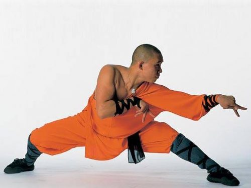 Praying Mantis Kung Fu. Martial Arts. Martial Arts of the World.Far East Asian Martial Arts. Far East Asian Martial Arts.