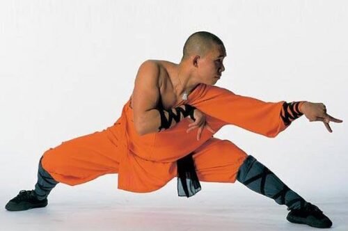 Praying Mantis Kung Fu. Martial Arts. Martial Arts of the World.Far East Asian Martial Arts. Far East Asian Martial Arts.