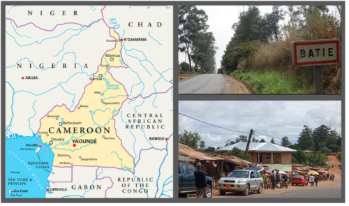 Francis Ngannou Hometown Batie, Cameroon. MMA. UFC.