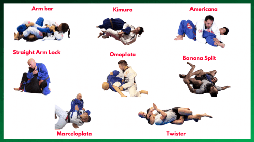 Brazilian Jiu Jitsu. UFC. MMA history. BJJ. Mixed Martial Arts.