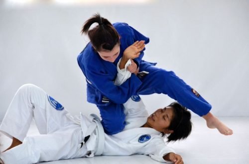 Brazilian Jiu Jitsu. UFC. MMA history. BJJ. Mixed Martial Arts.