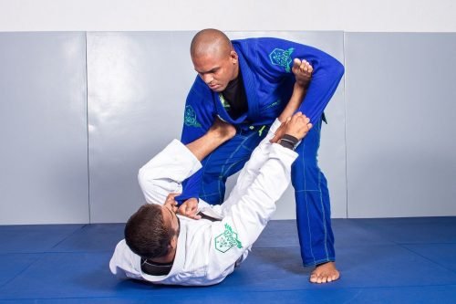 Brazilian Jiu Jitsu. UFC. MMA history. BJJ. Mixed Martial Arts.