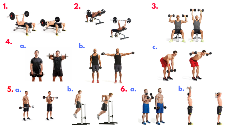 Captain America Workouts. Chris Evans Workouts. Compound exercises. Bodyweight exercises. Muscular hypertrophy. Full body workout plan. Best exercises for fat loss. Chest press. Chest exercises. Shoulder exercises. triceps exercises. Biceps exercises.