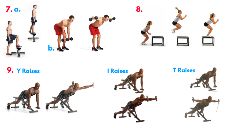 Muscular hypertrophy. functional strength training. upper body strength workouts. Compound exercises. best exercise for fat loss. Chadwick Boseman Workout. Muscular strength. core exercises for men. Full body workout plan. Bodyweight training. Best Leg exercises. Step ups. Leg training. Plyometric exercises. Best back exercises.