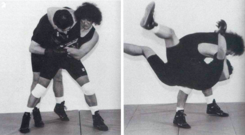 Best martial arts. Jim Arvanitis. Pankration. Greek culture. Greek history. Best martial arts for self defence. Best martial arts for street fighting. Neo-Pankration. Mu Tau Pankration.