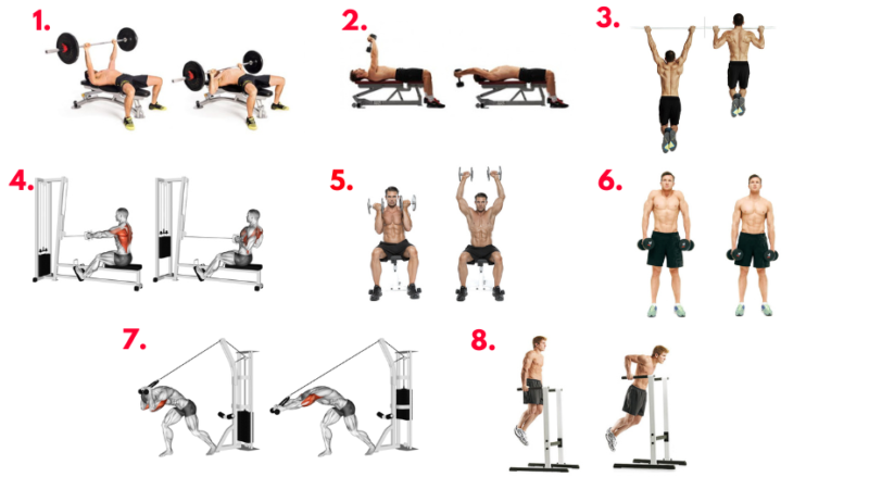 Gladiator Workout. strength training. Strongman workouts. exercises for strength training. upper body strength workouts. strength exercises for back. Compound lifts. Compound exercises. functional strength training. Resistance training for strength.