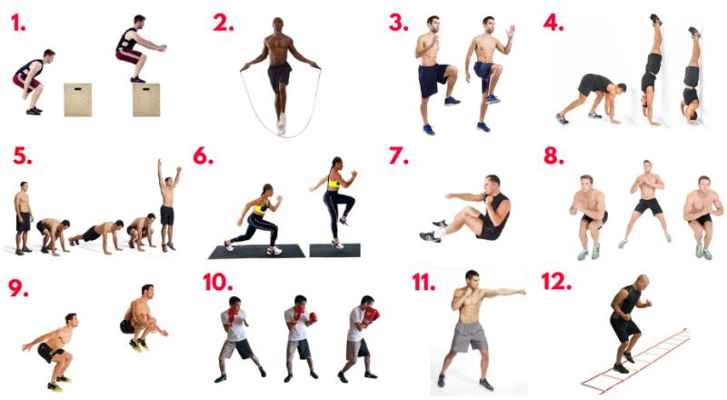 HIIT circuit. Boxing and agility drills. Box jumps. Jumping rope. High knees. Handstand pushups. sprawl exercise. Sprinter hops. Sit ups with punches. Lateral jumps. Tuck jumps. Shadow boxing. Agility ladder drill.