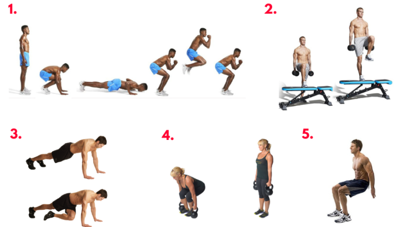 HIIT circuit. Muscular endurance. Burpees. Mountain climbers. Core exercises. Fat loss. Fat burn. Whole body workout.
