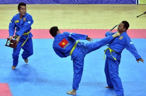 Vovinam. Vietnamese Martial Arts. Far East Asian Martial Arts. martial arts disciplines. Fighting arts of the world. best martial arts for self defence. Health and fitness. healthy lifestyle. Stress management. Benefits of exercise.