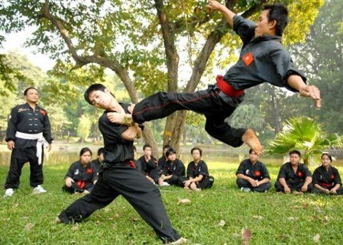 Vo Binh Dinh. Vietnamese Martial Arts. Far East Asian Martial Arts. martial arts disciplines. Fighting arts of the world. best martial arts for self defence. Health and fitness. healthy lifestyle. Stress management. Benefits of exercise.