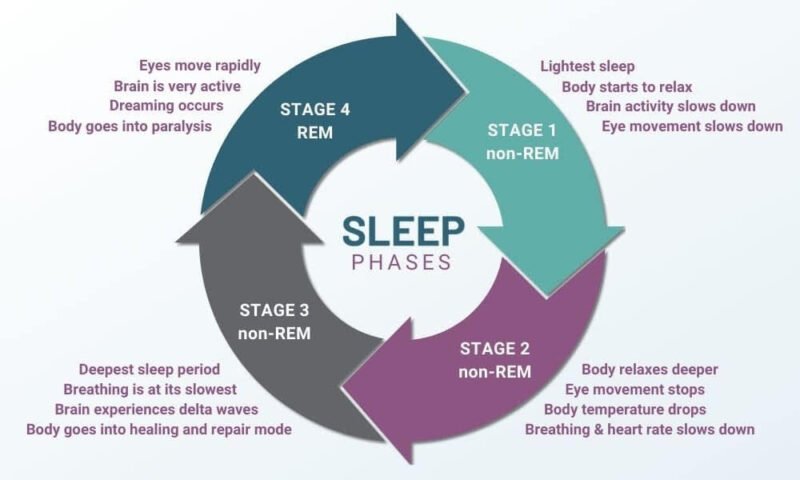 The Science Of Sleep - What We Know About Sleep