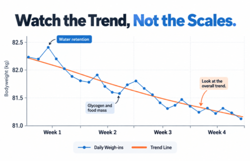Four-week bodyweight graph showing fluctuating daily weigh-ins alongside a gradually declining trend line, with examples of water retention and glycogen-related weight changes.
