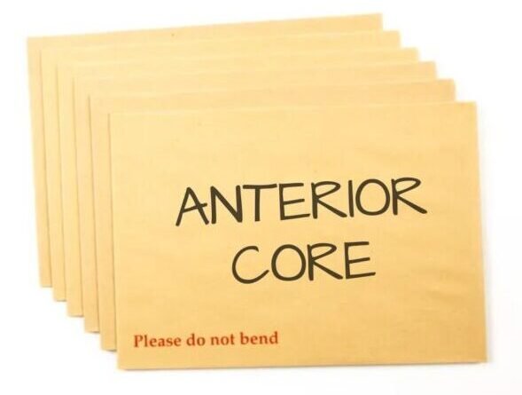 Choose Anterior Core Exercise