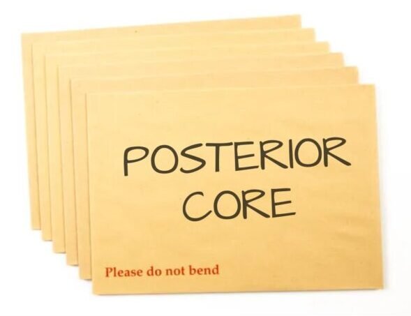 Choose Posterior Core Exercise