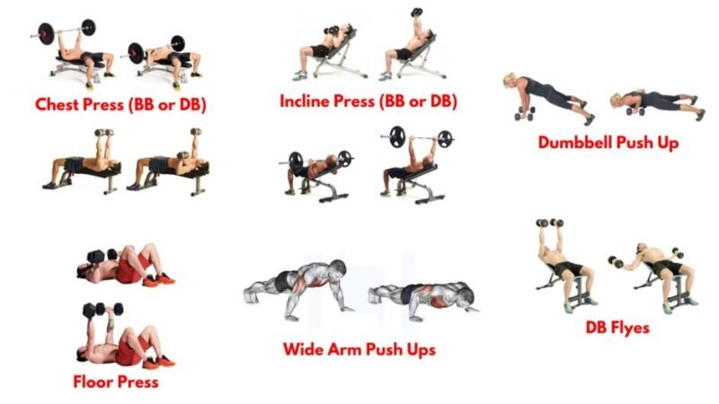 Keyser Söze Workout. Chest exercises. DB/BB Bench Press. Dumbbell Incline Press. Dumbbell Push Up. Dumbbell Floor Press. Wide Push-ups. Dumbbell Flyes.