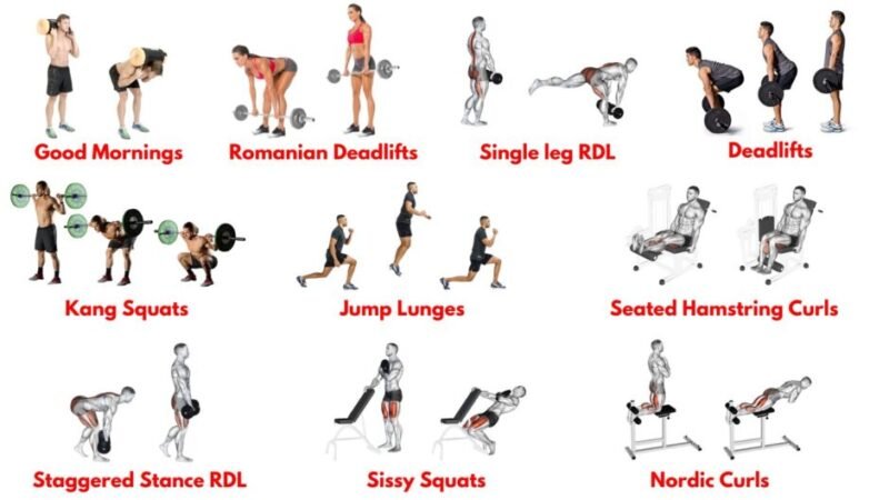 Lower body exercises. Leg strength. Explosive power. Squat variations. Lunge exercises. Lower body circuit. Functional fitness. Bodyweight leg workout. Plyometric drills. Lower body endurance.