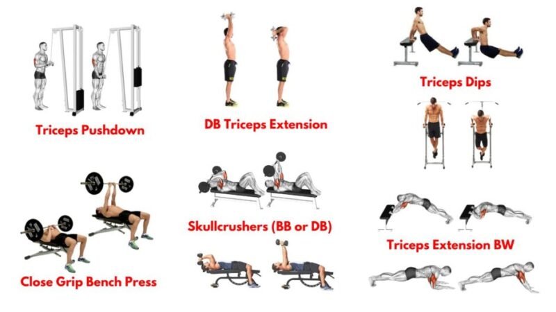 Triceps exercises. Tricep Cable Pushdown. Dumbbell Tricep Extension. Close-grip Bench Press. Triceps Dips. Skull Crusher Exercise. Bodyweight Triceps Extension..