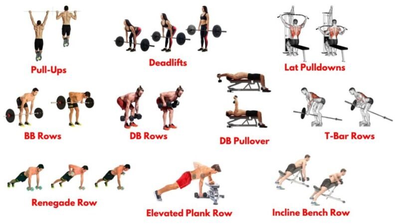 Pull exercises. Upper body pulling. Back workout. Bicep strength. Functional fitness. Pull circuit. Bodyweight pulling. Strength training. Upper body endurance. Calisthenics.