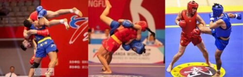 Sanda In English Sanda - Chinese Martial Arts for the 21st Century
