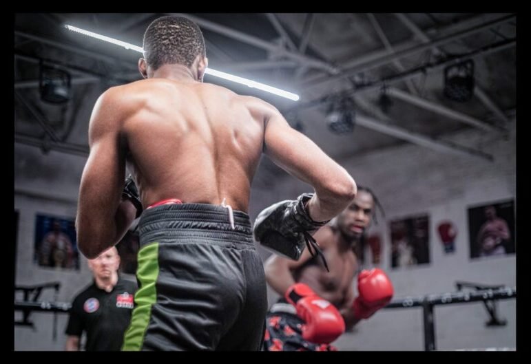 Two boxers squaring off in the ring, representing Western Boxing the Sweet Science.