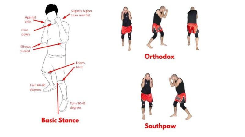 Boxing basic stances including orthodox and southpaw positions, showing how fighters set balance, defence, and power.