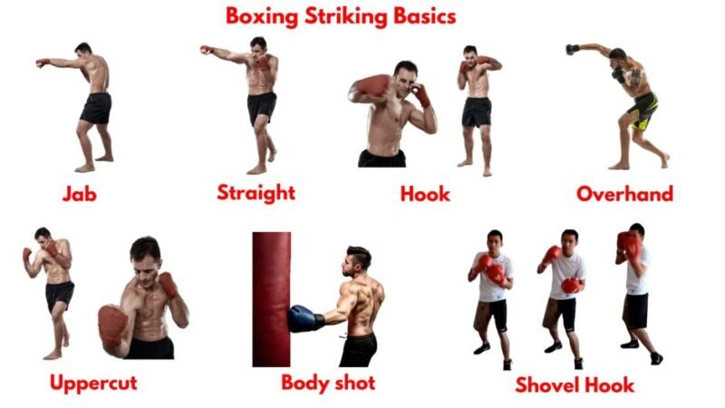 Boxing basic strikes including jab, cross, hook, and uppercut, the essential punches used in training and competition.