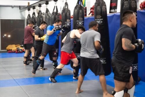 Image illustrating boxing’s influence on MMA, karate, and kickboxing, highlighting jab–cross mechanics, footwork, head movement, guard structure, and combination punching.