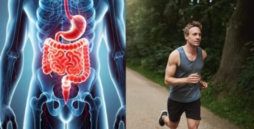 Digestive system shown alongside an athlete running, representing how gut health supports physical performance and endurance.