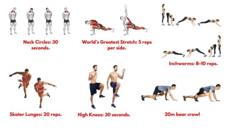 Warm-up mobility and activation exercises preparing the body for the Black Widow workout.