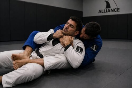 Brazilian Jiu-Jitsu practitioner defending against back control by fighting the attacker's hands while trapped with hooks in during a grappling exchange.
