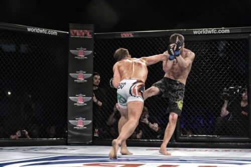 MMA fighter landing a powerful straight punch as his opponent is driven backwards.