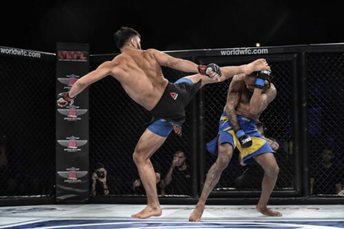 MMA fighter launching a high kick as his opponent attempts to evade and defend.