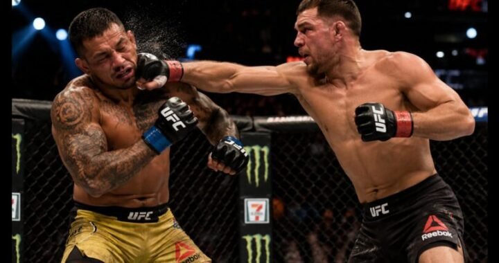 The Complete Fighter: A Guide to Mixed Martial Arts