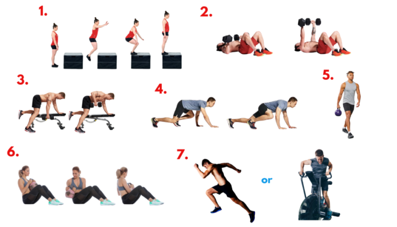 Year One workout circuit exercise demonstration
