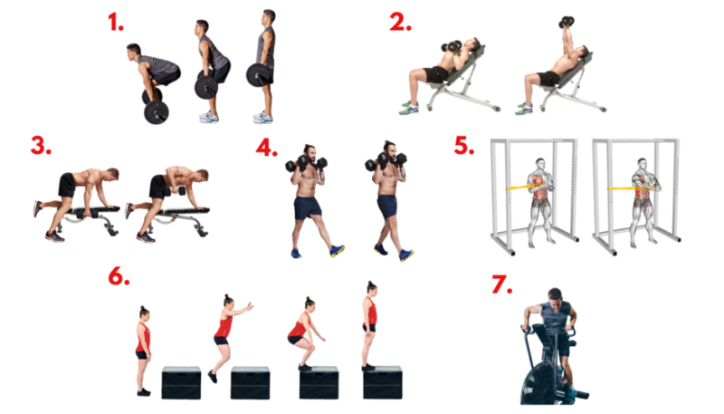 Quiver workout circuit exercise demonstration