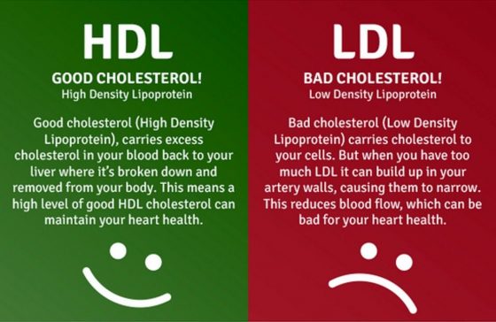 Good and bad Cholesterol. Health benefits .Running. Cardiovascular fitness. Fat burning. Super Soldier Project.